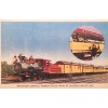 unknown 1950 Postcard~Deadwood Central Train At~1950 Chicago Worlds Fair. #-3403