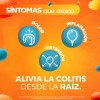 Sinuberase Probióticos Bacillus Coagulans Millón Ufc Comprimidos Alivia Síntomas Colitis