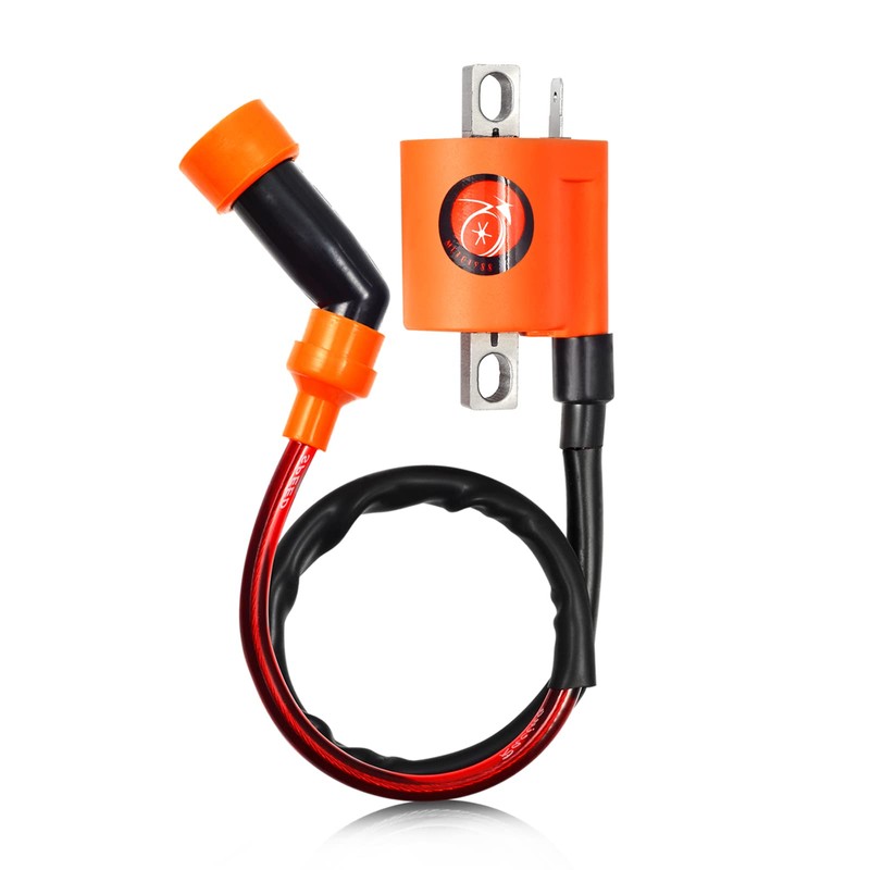 Igniter CDI BOX and Ignition Coil For Yamaha Timberwolf 250