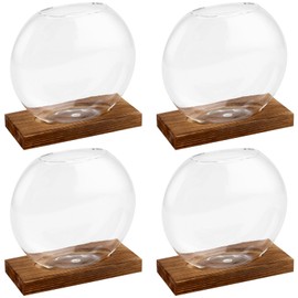 HAKZEON 4 Pack Desktop Round Glass Planter Hydroponics Vase, Glass Planter Terrarium Flower Vase with Wooden Stand, Propagated Plant Jars for Plants, Flower, Home Office Desktop Decor