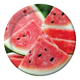 Creative Converting 8 Count Sturdy Style Round Paper Plates, 8.75", Summer Seeds