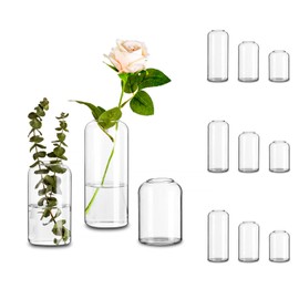 Modern Glass Cylinder for Centerpieces, Glasseam Clear Bud Vase Bulk Set of 12, Blown Craft Aesthetic Decorative Small Flower Vases for Flowers Rose Tulip Pampas Grass