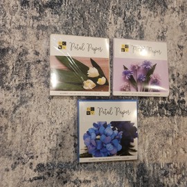 DCWV Petal Paper 3 Packs 40 Sheets Each 6in x 6in 5 Colors