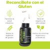 Suplemento Digestivo Natural con Enzimas, Probióticos y Jengibre | 30