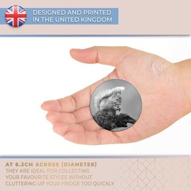 Destination Vinyl ltd Magnet for Refrigerator, Fridge BW - Cute Squirrel Wild Animal for Office, Cabinet and Whiteboard, Magnetic Stickers, 36607