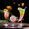 Modern Design Creative Shape Wine Glass Crystal Cocktail Cup Bird