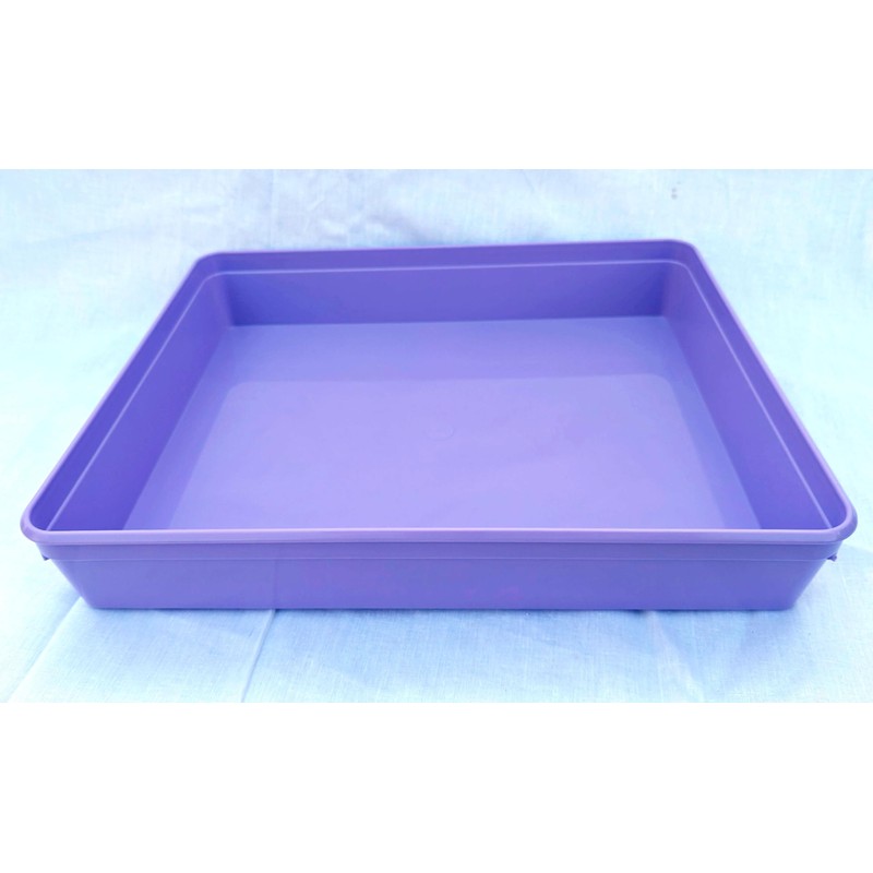 Instrument tray - 31cm x 26cm x 5cm (Purple)