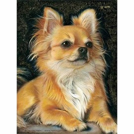 5D Diamond Art Painting Diamond Art Chihuahua Puppy Cute Animal Mosaic Art DIY Craft Kit Diamond Beads Painting Kit Popular Handmade Art Decoration for Adults, Kids, Beginners Bead Art 30X40cm