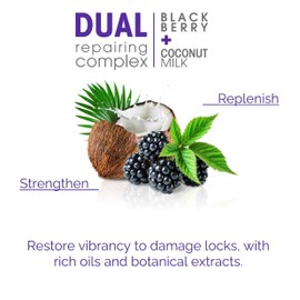 GIOVANNI 2chic Ultra-Repairing Shampoo Set - For Damaged, Over-Processed Hair, Helps Restore Hair's Natural Elasticity, Blackberry & Coconut Oil, Argan, Shea Butter, Color Safe - 24 oz Each