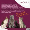 Caru - Classics Chicken Stew for Cats - Healthy Functional