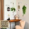 RTZEN Plant Hangers Outdoor or Indoor - Wrought Iron Metal