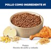 Hill's Science Diet Small Mini Croquetas para Cachorro Sabor Pollo