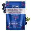 COLAGENO HIDROLIZADO CON CLORURO DE MAGNESIO Y ACAI - 500