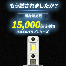 Takenous Truck Bastard Takemura Shokai 24V H3 LED Fog Lamp Truck H3 LED Valve H3 Fog LED (White)