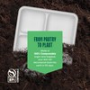100% Compostable, 5 Compartment, Disposable Paper Plates [125-Pack] - {PFAS