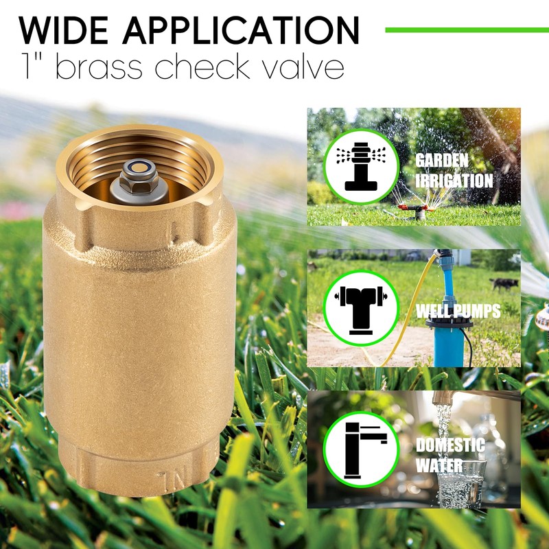1 inch Check Valve with Backflow Preventer for Merrill CVNL100
