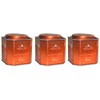Harney & Sons Hot Cinnamon Spice Tea - 30 Tea