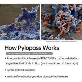 Purmeo Tratamiento H. Pylori 5 En 1 Con Probióticos                                                                                                   