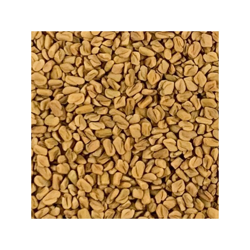 호로파 씨앗 1kg(500gx2) Fenugreek Seeds 1kg (500gx2)