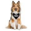 No Fluffs Given Dog Bandana, Poodle Accessories, Funny Black Dog