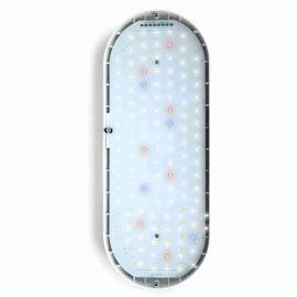 Small Tabletop Plant Light 10W 4 Brightness Adjustments Full Spectrum LED Plant Growth Lamp for Indoor Plants