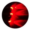 3 Pack red LED Micro Effect Light kit with Flash