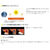 YAMASHITA NAORY Range 2.3B 012 Red Shrimp NRRA23B012AEBA