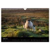 Scotland Alba (Wall Calendar 2026 DIN A4 Landscape), CALVENDO 12