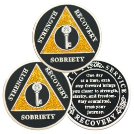 F4godwar 3Pcs Silvery Key Sobriety Coin - Inspirational Sober Token - NA AA Chips and Medallions - Year Sobriety Coin - Living Clean Narcotics Anonymous Gifts for Men and Women
