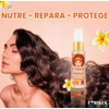 ETNIKER Aceite Natural Nutrición, Reparación y Protección Sin Sal 1.2