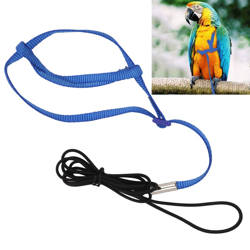 Parrot Harness Leash Adjustable Bird Flying Harness Traction Rope with