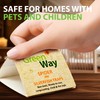 Greenway Silverfish and Spider Traps, Non-Toxic Indoor with High-Strength Glue