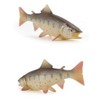 Neko Kamiyama, Yamame, River Fish, Stream, Fish Figure, Miniature Figurine,