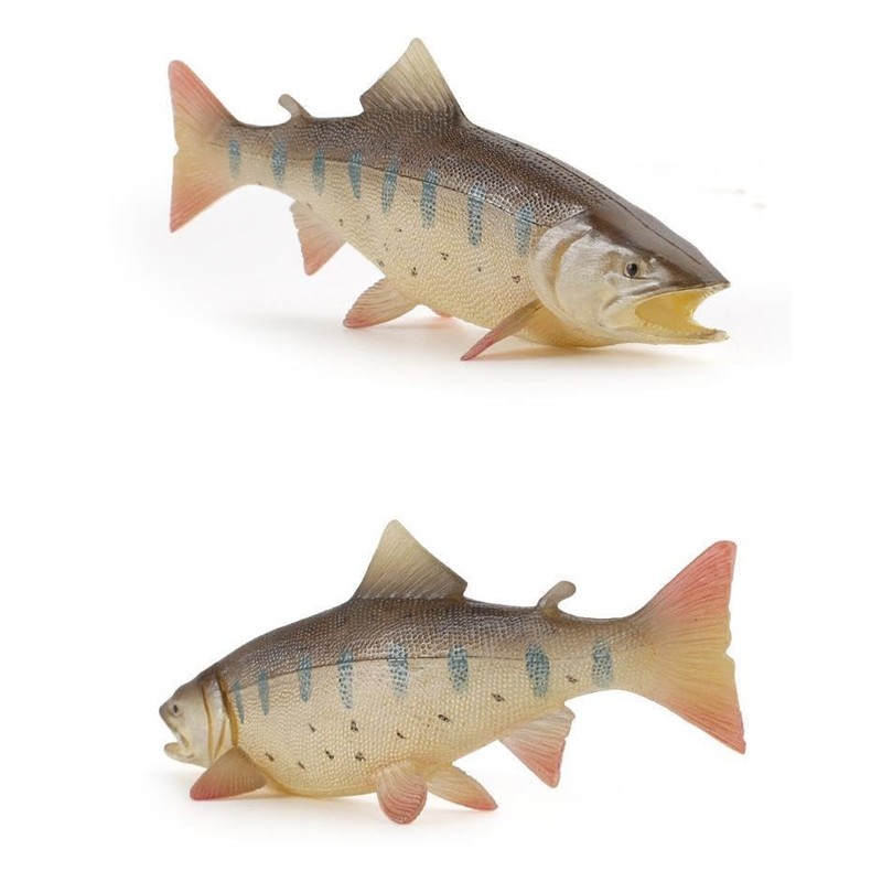 Neko Kamiyama, Yamame, River Fish, Stream, Fish Figure, Miniature Figurine,