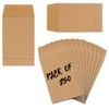 Coin envelopes (250 - Brown, 2.25 x 3.5 inch)
