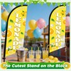 Lemonade Feather Flag With Pole Kit - 2 Pcs 8.2Ft