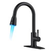 FORIOUS LED Kitchen Faucet with Pull Down Sprayer, Black Single