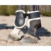 LeMieux Capella Comfort Fetlock Horse Boots - Protective Gear and
