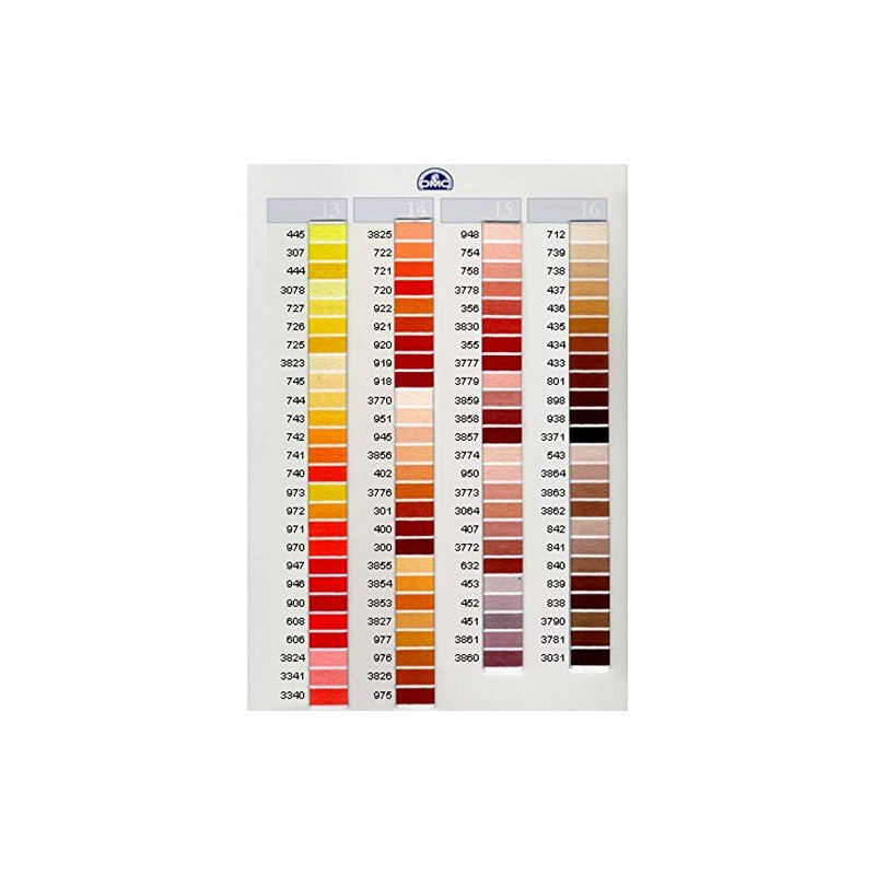 DMC Stranded Cotton Embroidery Thread 304 - per skein