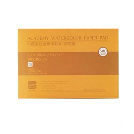 BAOHONG Academy Grade Watercolor Block, 100% Cotton, Acid-Free, 140LB/300GSM, Rough Grain Textured, 20 Sheets per Block (Rough Grain 10.2''x7'')