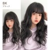 BrightLala p257-BK Bangs Wig, Partial Wig, Hair Extension, Natural, Long