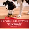 Purina ONE Dry Dog Food Lamb and Rice Formula -
