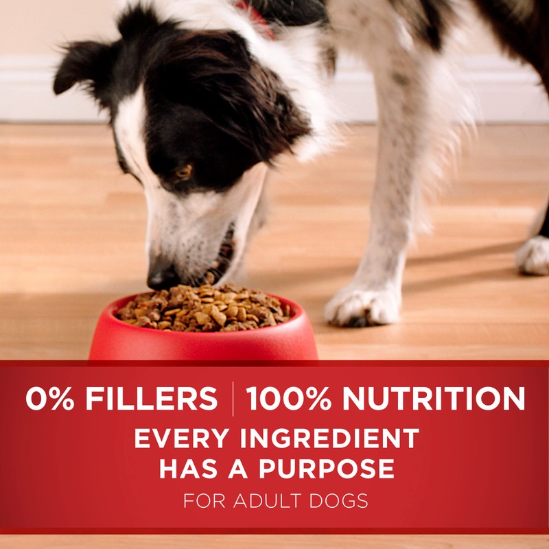 Purina ONE Dry Dog Food Lamb and Rice Formula -