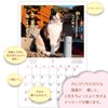 Active Corporation 2026 Calendar Wall-mounted Sunbathing Cat Chronicles 26ACL-04 2026