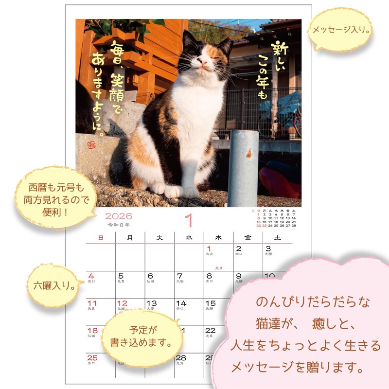 Active Corporation 2026 Calendar Wall-mounted Sunbathing Cat Chronicles 26ACL-04 2026