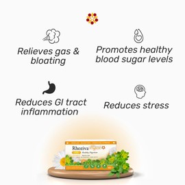 Rhoziva Digest Gut Health Supplement with Digestive Enzymes for Men & Women - Probiotics & Prebiotics for Gut Health Supplement - Daily Synbiotic Gut Vitamins for Men & Women - 60 Capsules