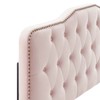 Modway MOD-6410-PNK Sophia Tufted Performance Velvet Full/Queen Headboard, Pink