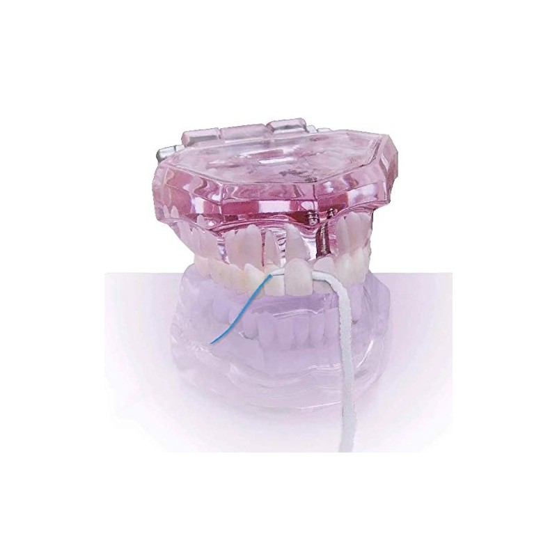 3 in 1 Floss, Pack of 100