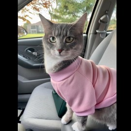 Cat Sweaters Shirts for Cats - Hairless Cat Cotton Tshirts Pet Clothes - Pullover Kitten T-Shirts with Sleeves - Cats & Small Dogs Apparel (Pink Red, Large)