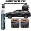 SNSIR Touch Up Paint Kit for Lexus Cloudburst Gray 1L1